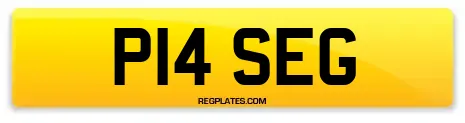 P14 SEG
