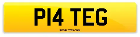P14 TEG
