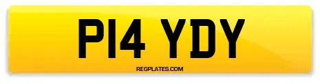 P14 YDY