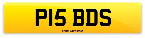 P15 BDS