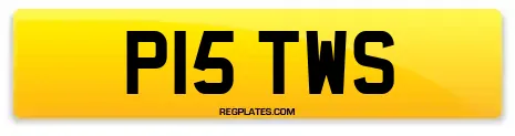 P15 TWS