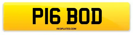 P16 BOD