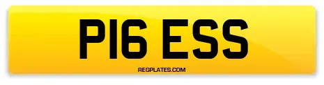 P16 ESS