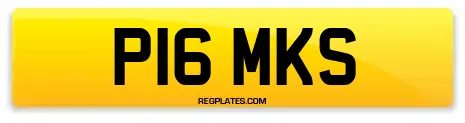 P16 MKS