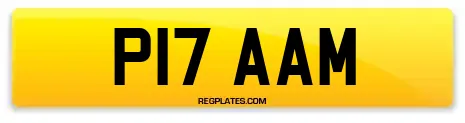 P17 AAM