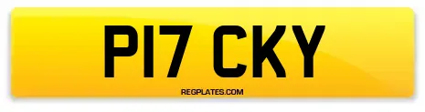 P17 CKY