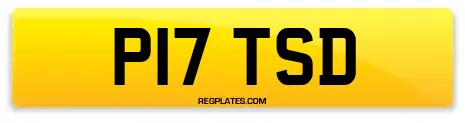 P17 TSD