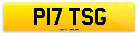 P17 TSG