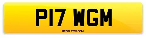 P17 WGM