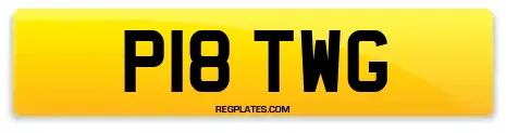 P18 TWG