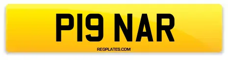 P19 NAR