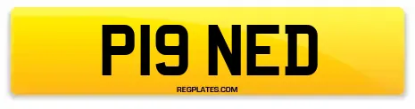 P19 NED