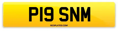 P19 SNM