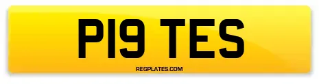 P19 TES