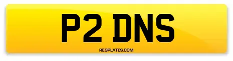 P2 DNS