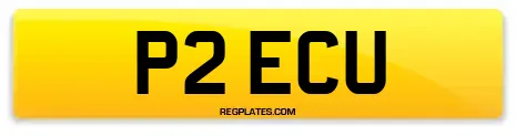 P2 ECU
