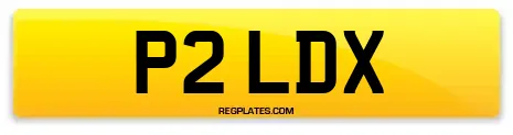 P2 LDX