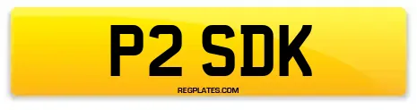 P2 SDK