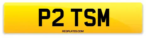 P2 TSM