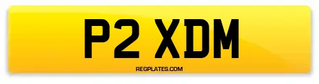 P2 XDM