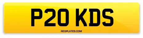 P20 KDS