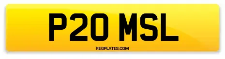 P20 MSL