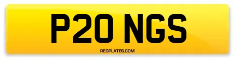 P20 NGS