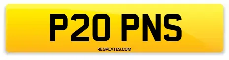 P20 PNS