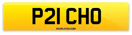P21 CHO