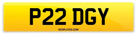 P22 DGY