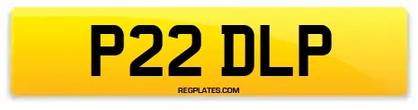 P22 DLP