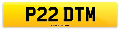 P22 DTM