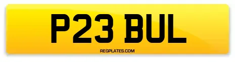 P23 BUL