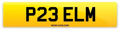 P23 ELM