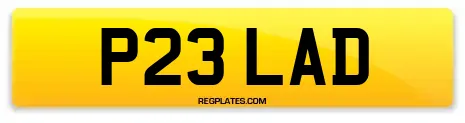 P23 LAD