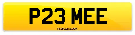 P23 MEE