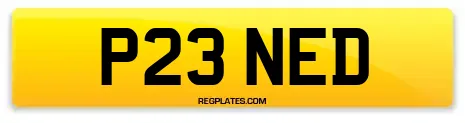 P23 NED
