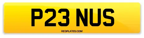 P23 NUS