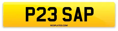 P23 SAP