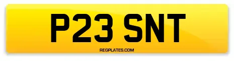 P23 SNT