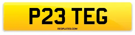 P23 TEG