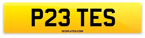 P23 TES