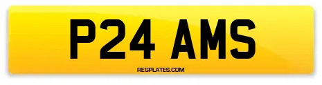 P24 AMS