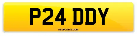P24 DDY