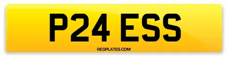 P24 ESS