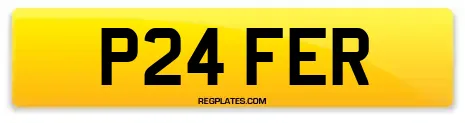 P24 FER