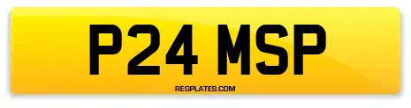 P24 MSP