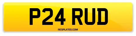 P24 RUD