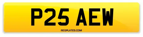 P25 AEW