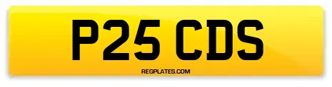 P25 CDS